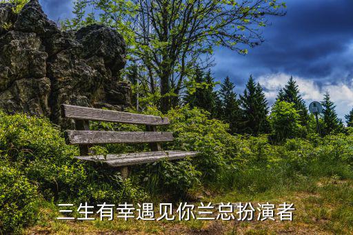 三生有幸遇見(jiàn)你蘭總扮演者