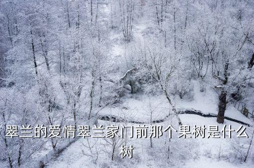 翠蘭的愛情翠蘭家門前那個果樹是什么樹