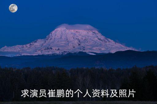 求演員崔鵬的個人資料及照片
