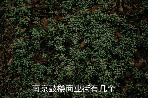 南京商業(yè)街，南京的主要商業(yè)街有哪些南京的地鐵線路是怎樣布局