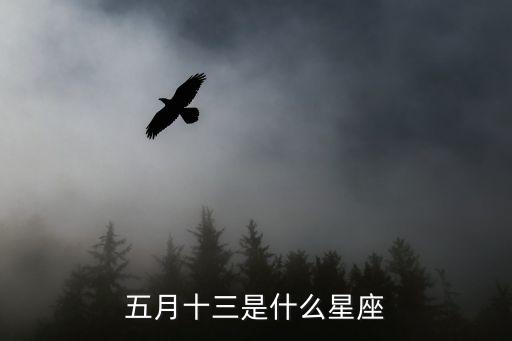 五月十三是什么星座