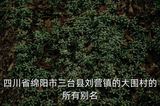 四川省綿陽(yáng)市三臺(tái)縣劉營(yíng)鎮(zhèn)的大圍村的所有別名