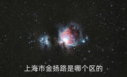上海市金揚路是哪個區的