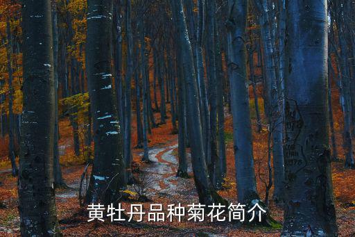 黃牡丹品種菊花簡介
