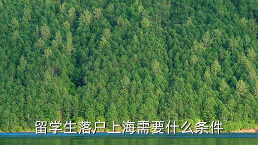 留學生落戶上海需要什么條件
