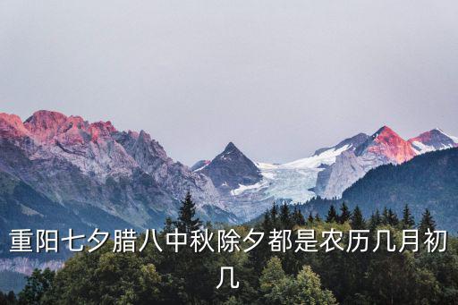 重陽七夕臘八中秋除夕都是農(nóng)歷幾月初幾