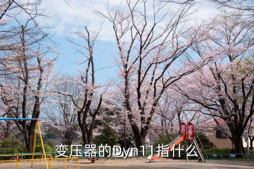 變壓器的Dyn11指什么