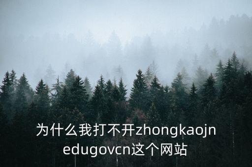 為什么我打不開zhongkaojnedugovcn這個網站