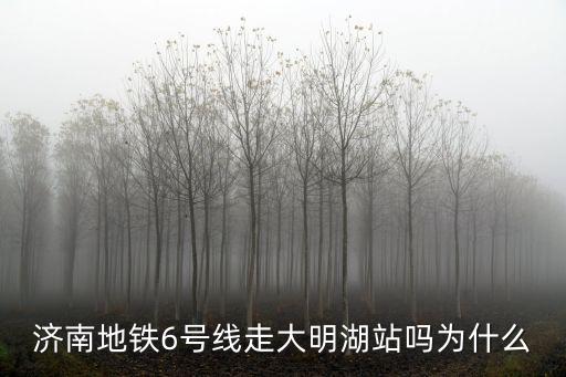 濟(jì)南地鐵6號線，濟(jì)南地鐵6號線走大明湖站嗎為什么