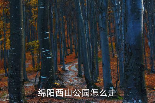 綿陽西山公園怎么走