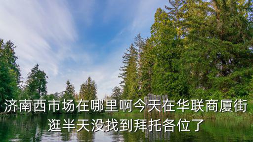 濟南西市場在哪里啊今天在華聯商廈街逛半天沒找到拜托各位了