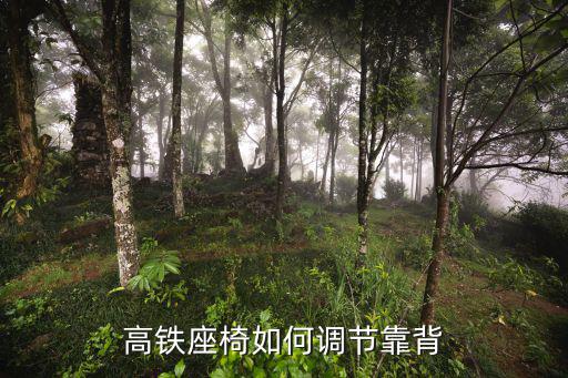 高鐵怎么調整座椅靠背，高鐵座椅如何調節靠背