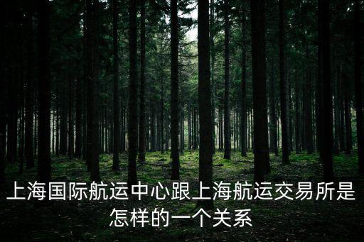 上海國際航運中心跟上海航運交易所是怎樣的一個關系