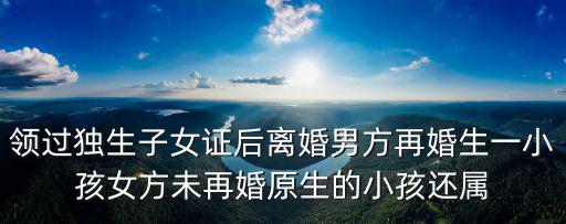 未再，組合家庭中男女雙方各有一個孩子 這兩個孩子算是獨生子女嗎大神們