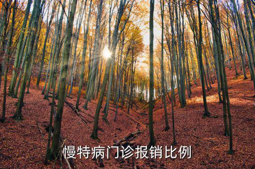 慢特病門診報銷比例