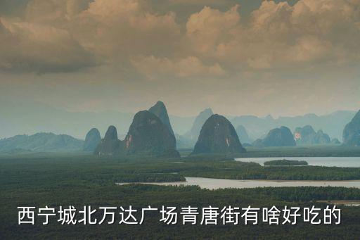 西寧城北萬達(dá)廣場青唐街有啥好吃的