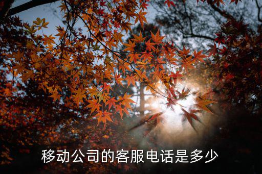 移動電話，移動公司的客服電話是多少