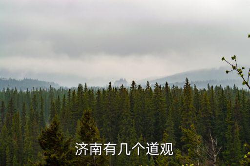 濟南華陽宮，濟南有幾個道觀