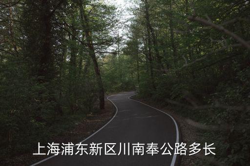 川南奉公路，上海浦東新區川南奉公路多長