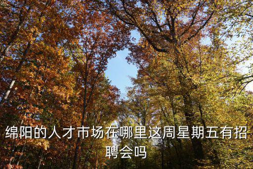 綿陽的人才市場在哪里這周星期五有招聘會嗎