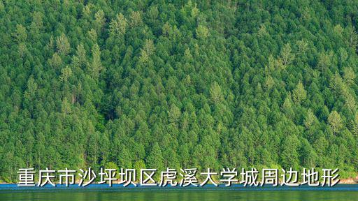 重慶城市圖片，重慶城區地圖