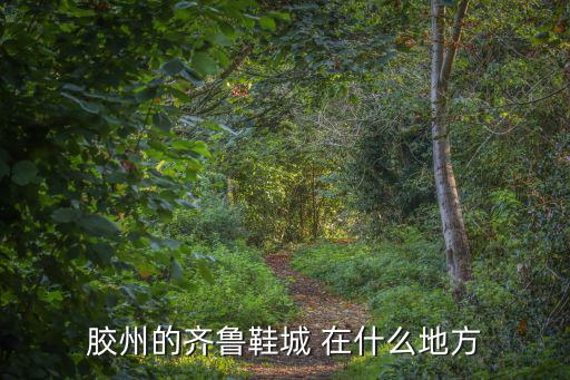 齊魯鞋城，膠州的齊魯鞋城 在什么地方