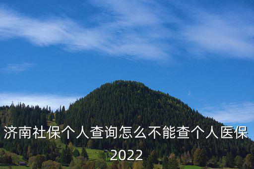 濟(jì)南社保個(gè)人查詢?cè)趺床荒懿閭€(gè)人醫(yī)保2022