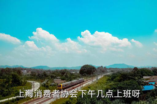 上海市消費(fèi)者協(xié)會(huì)，上海的消協(xié)的電話是多少啊