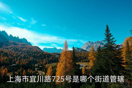 上海市宜川路725號是哪個街道管轄