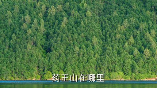 藥王谷在哪里，藥王谷公孫芷是哪部武俠小說里的人物