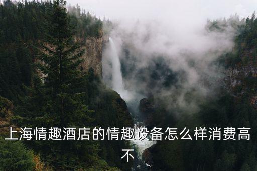 上海情趣酒店的情趣設備怎么樣消費高不
