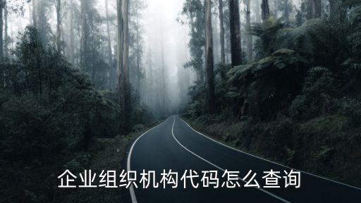 企業(yè)組織機(jī)構(gòu)代碼怎么查詢