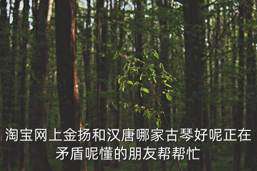 淘寶網上金揚和漢唐哪家古琴好呢正在矛盾呢懂的朋友幫幫忙