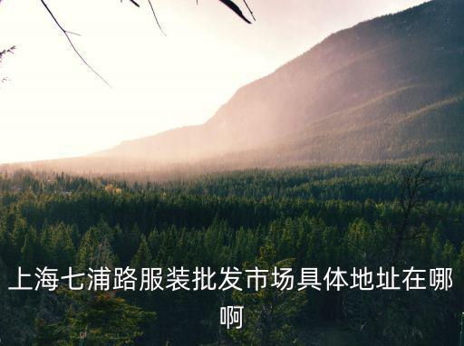七浦路服裝批發(fā)市場，七浦路附近有什么服裝批發(fā)市場
