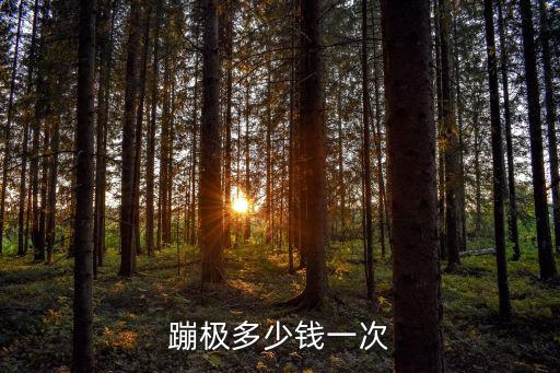 蹦極多少錢一次