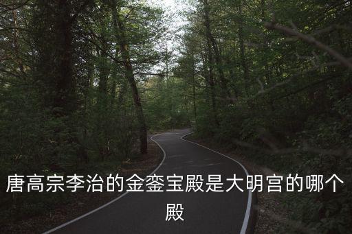 唐高宗李治的金鑾寶殿是大明宮的哪個殿