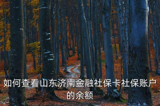 如何查看山東濟南金融社保卡社保賬戶的余額