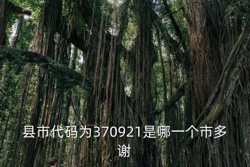 縣市代碼為370921是哪一個市多謝