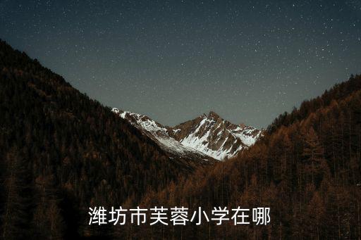 芙蓉小學，汕頭芙蓉小學和月季小學哪個好