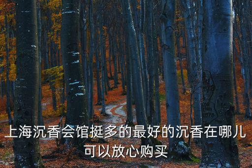 上海沉香會館挺多的最好的沉香在哪兒可以放心購買