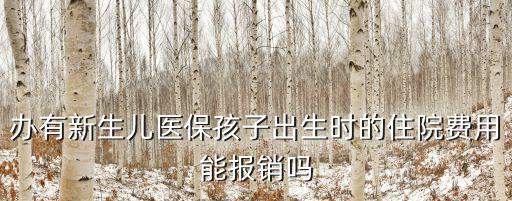 辦有新生兒醫保孩子出生時的住院費用能報銷嗎
