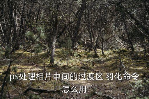 ps處理相片中間的過渡區 羽化命令怎么用
