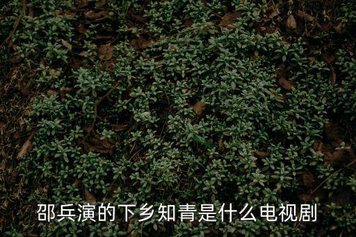 邵兵演的下鄉(xiāng)知青是什么電視劇