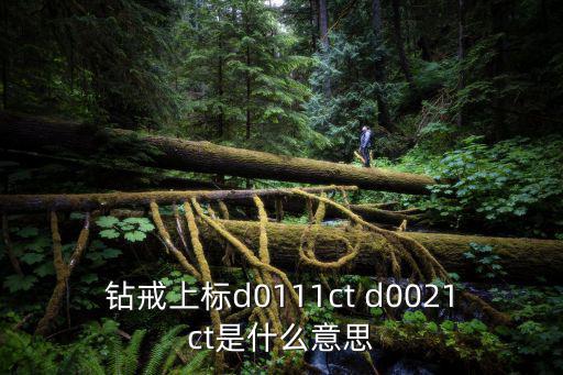 d1611，鉆戒上標d0111ct d0021ct是什么意思