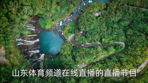 山東體育頻道在線直播的直播節目