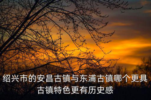 紹興市的安昌古鎮與東浦古鎮哪個更具古鎮特色更有歷史感