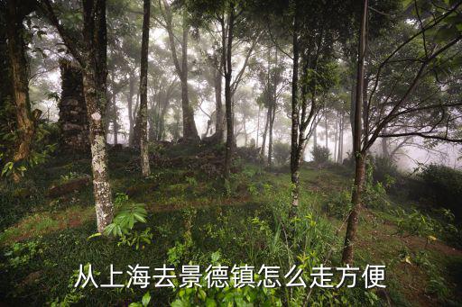 從上海去景德鎮(zhèn)怎么走方便