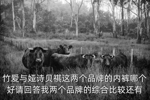 竹愛與婭詩貝祺這兩個品牌的內(nèi)褲哪個好請回答我兩個品牌的綜合比較還有