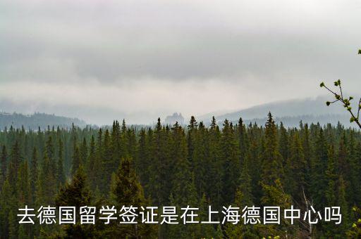 去德國留學簽證是在上海德國中心嗎