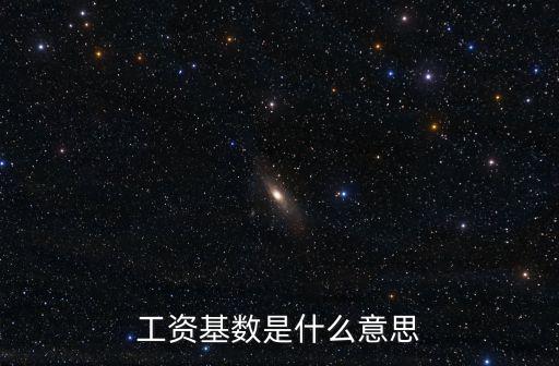 工資基數，工資基數是什么意思